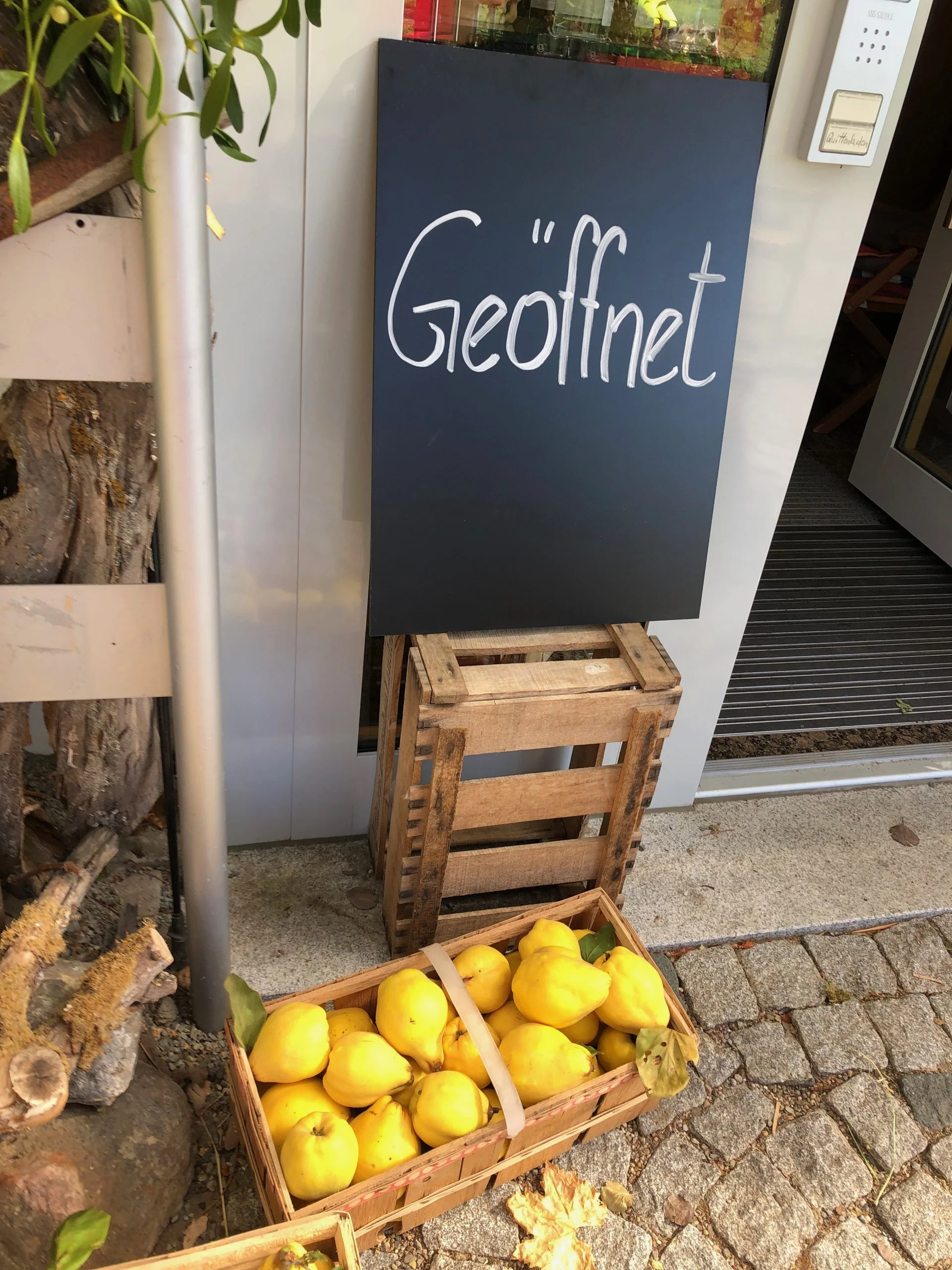 ©  Erfurt alpin