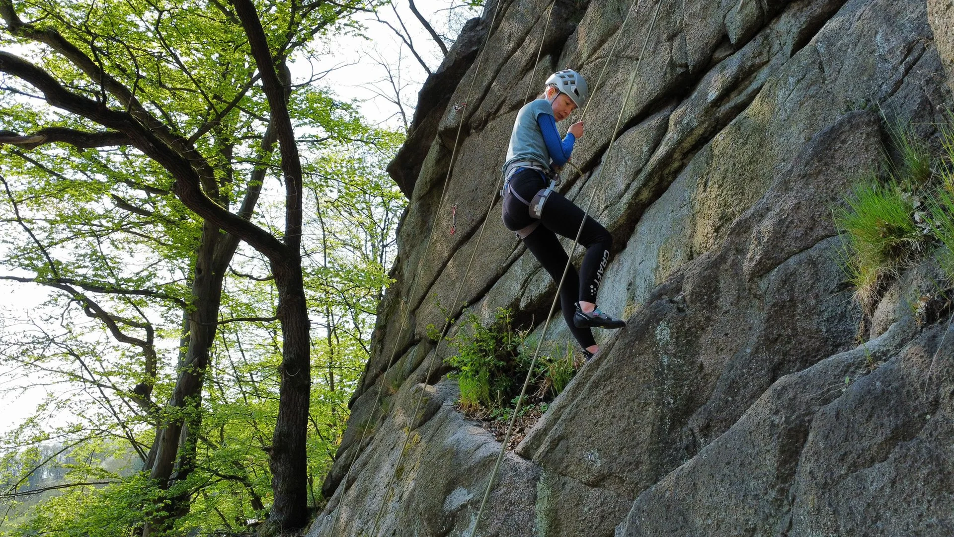 © Werner Bettermann