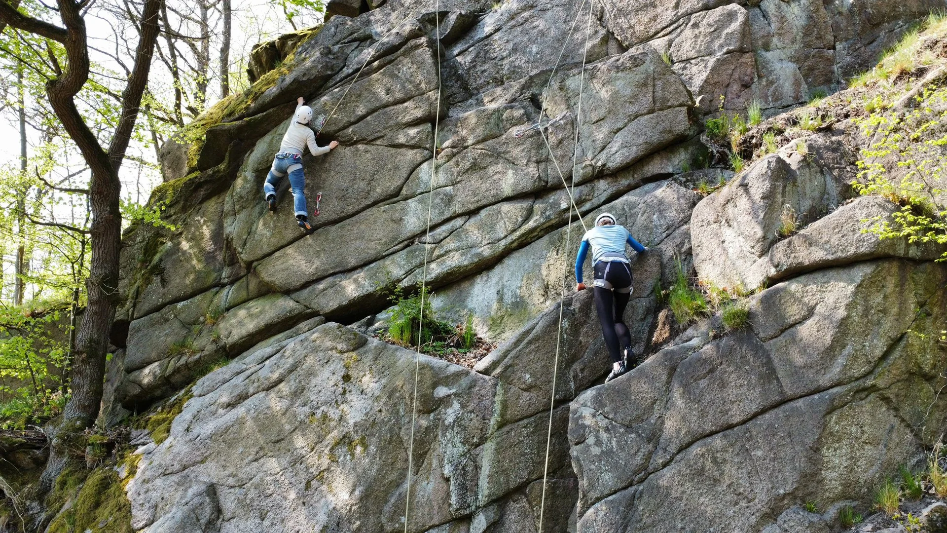 © Werner Bettermann