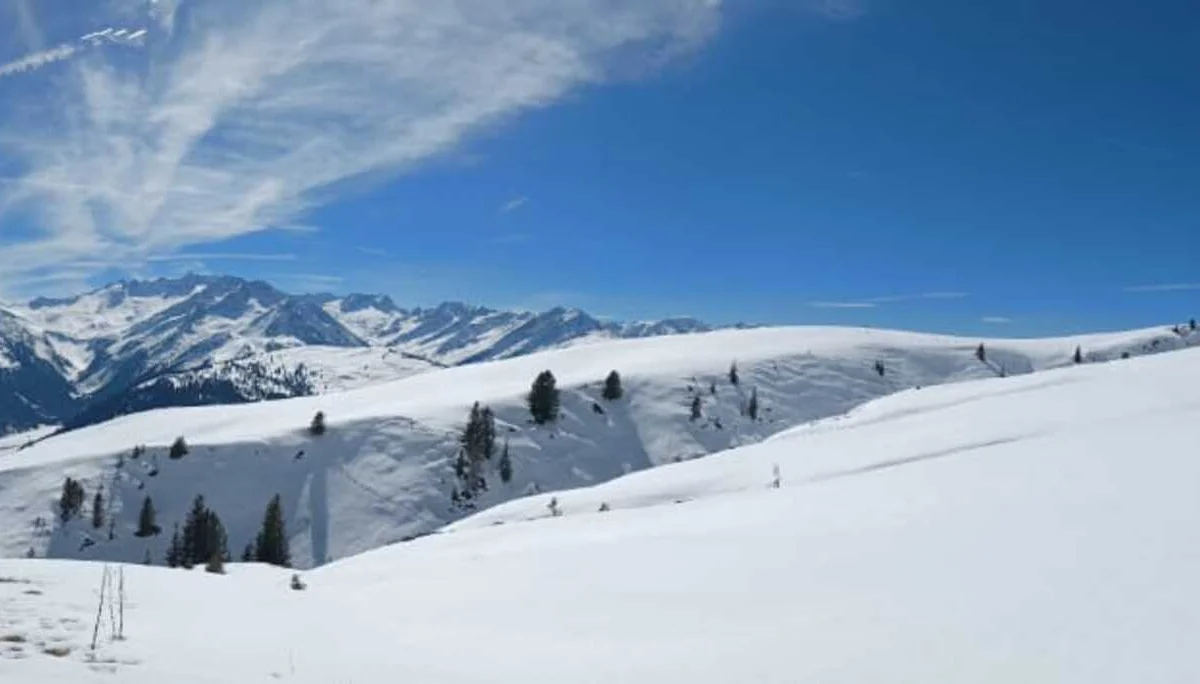 © Silke Wollschläger