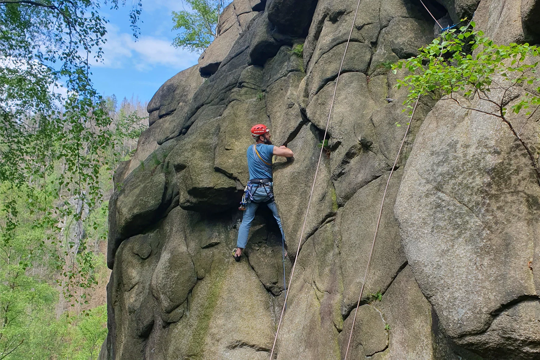 © Werner Bettermann