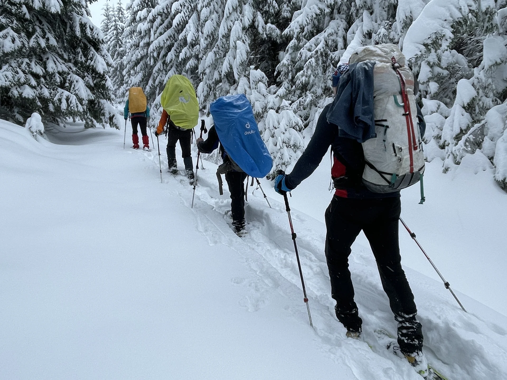 Schneeschuhgeher im Gebirge | © Erfurt Alpin