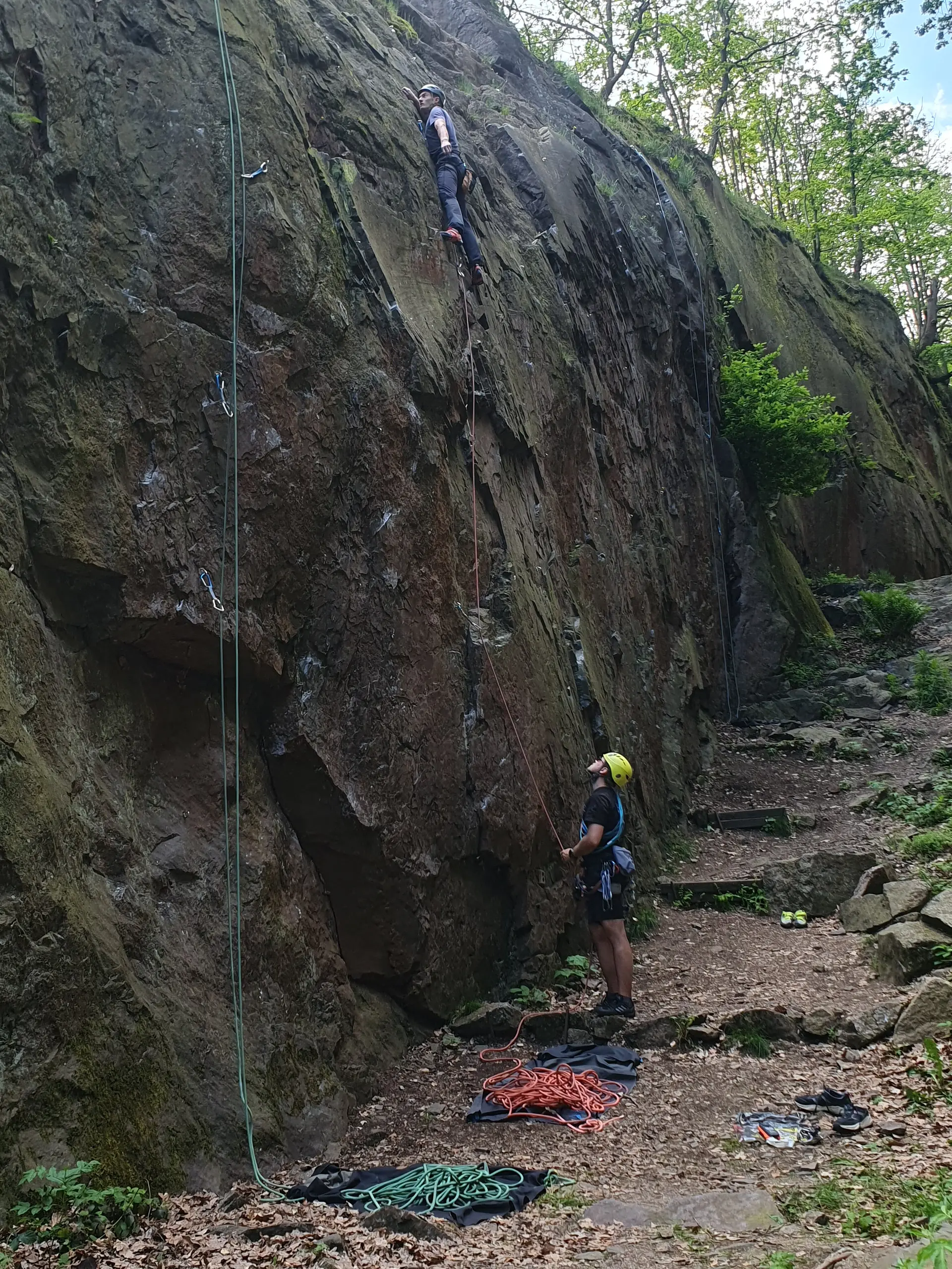 © Werner Bettermann