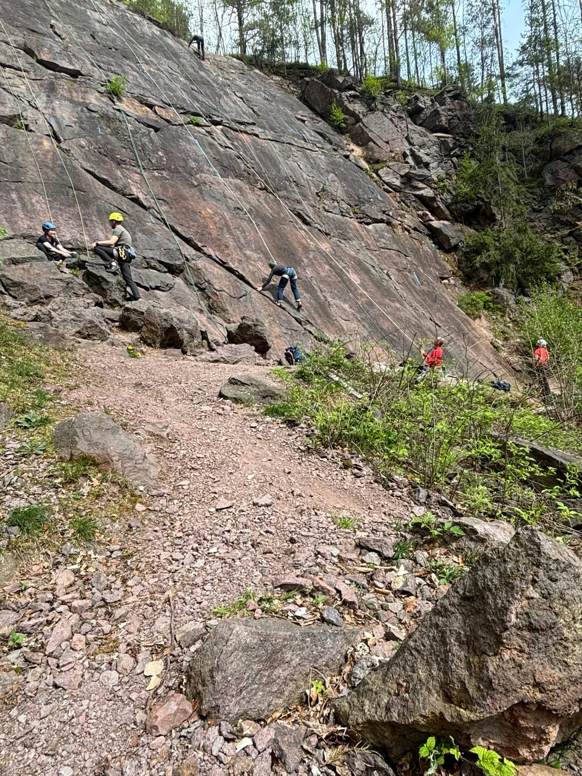 © Werner Bettermann