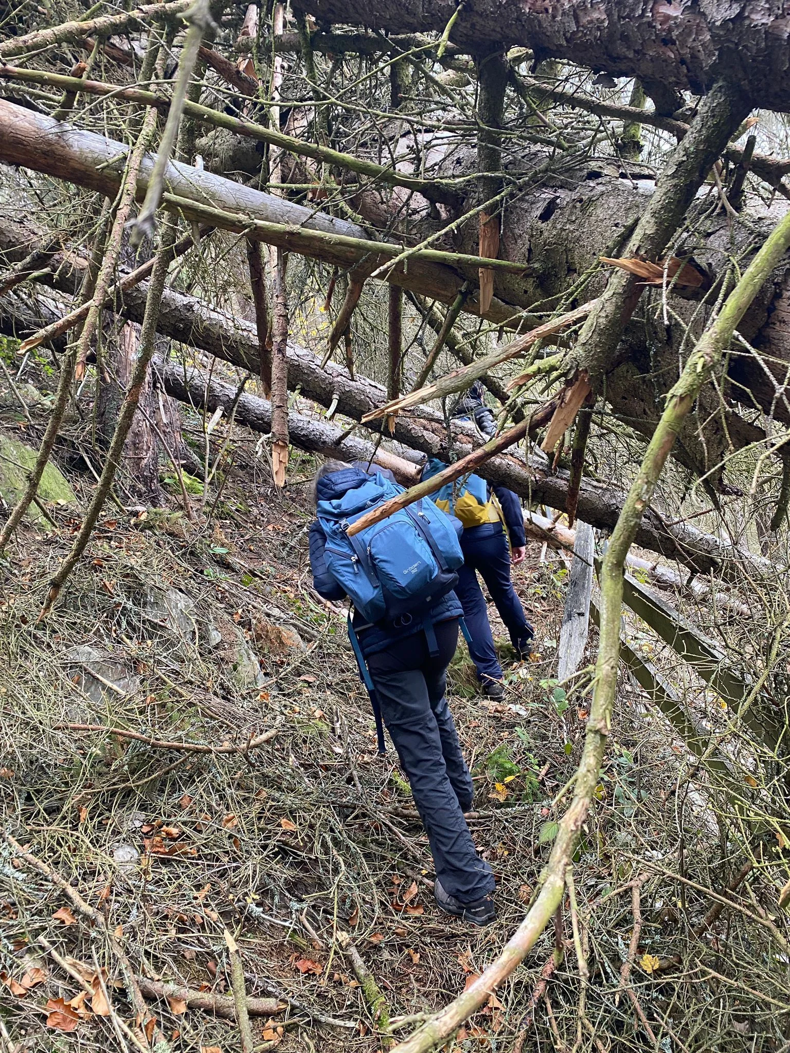 © Carmen Steinbrück