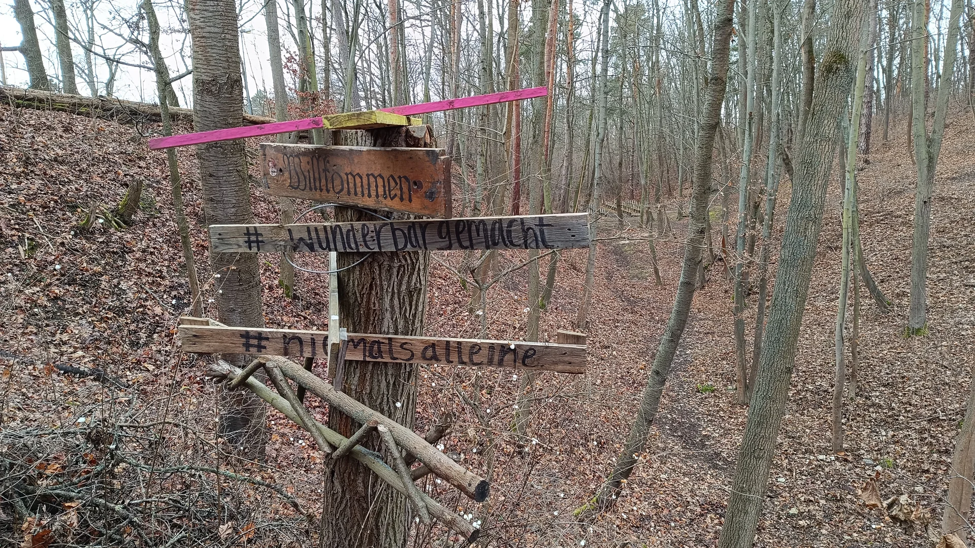 © Carmen Steinbrück