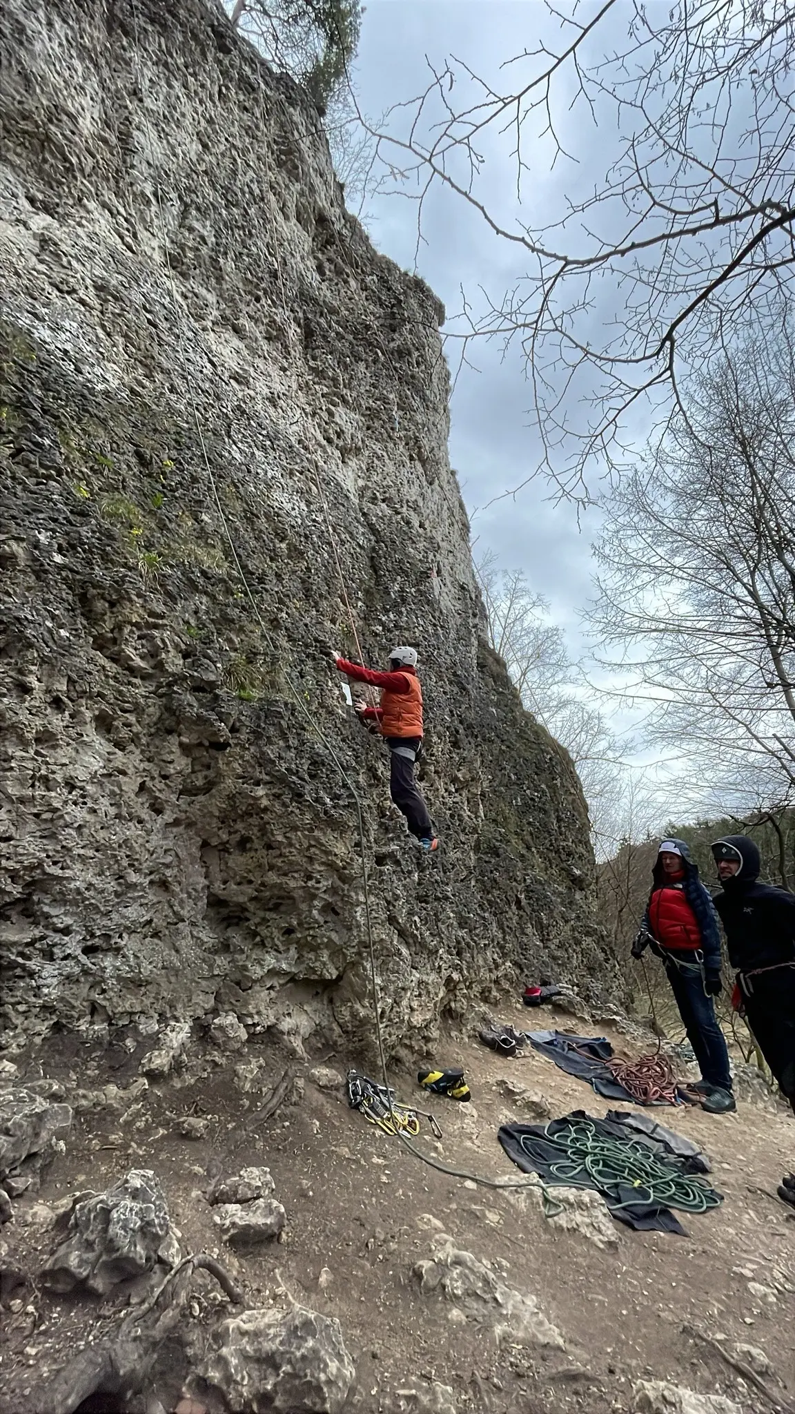 © Werner Bettermann