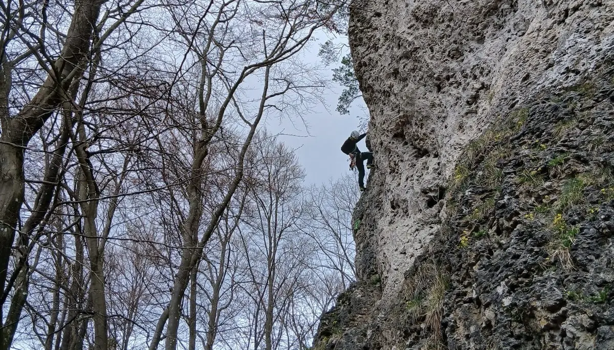 © Werner Bettermann