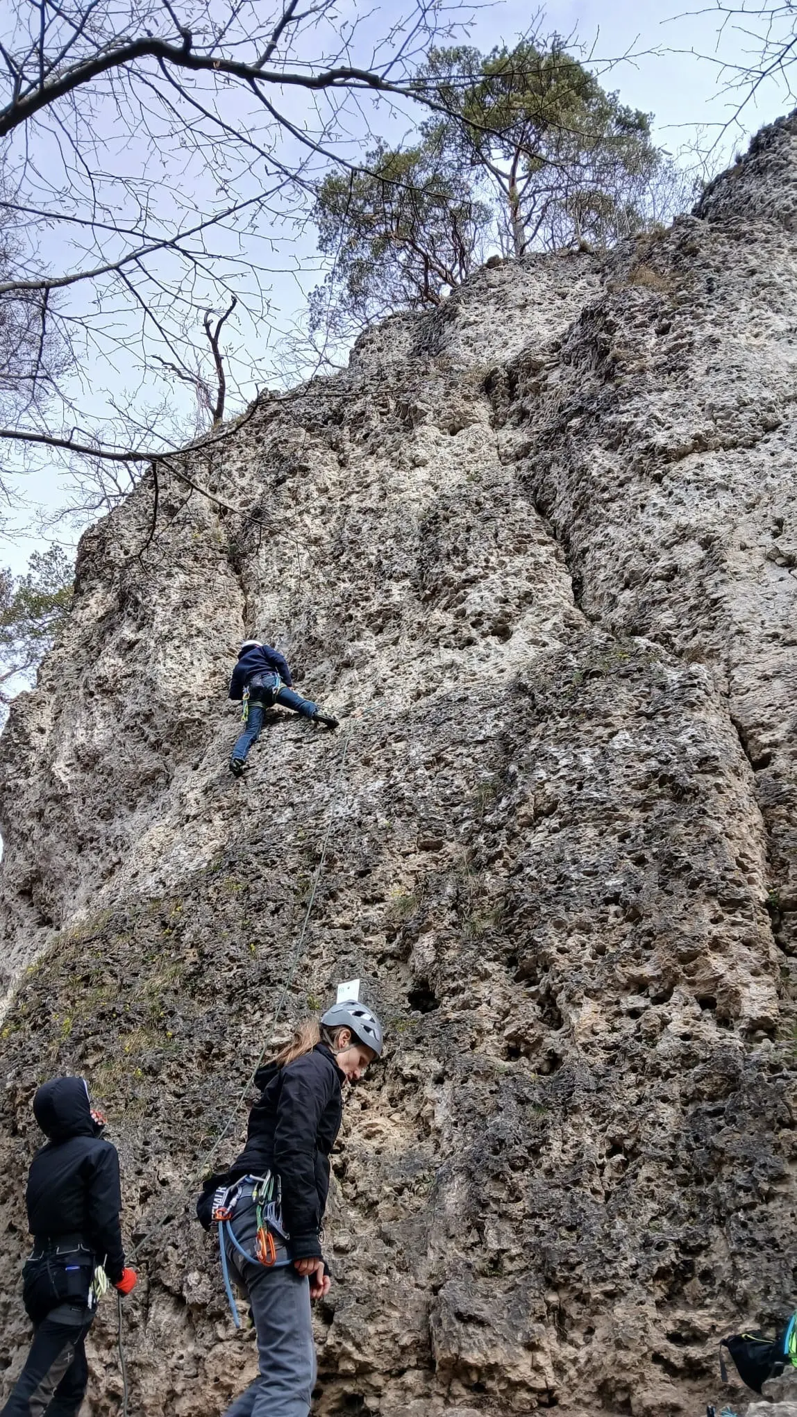 © Werner Bettermann