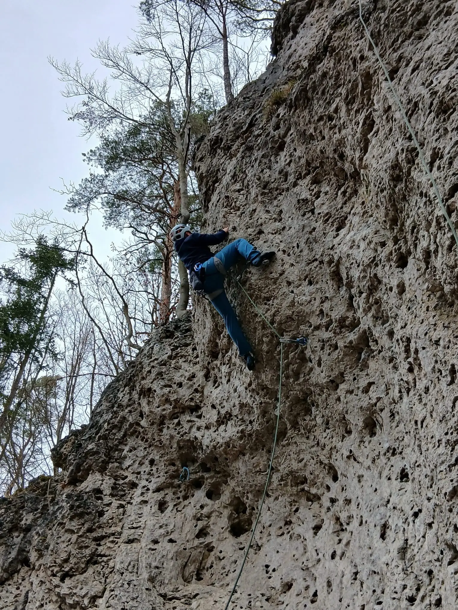 © Werner Bettermann