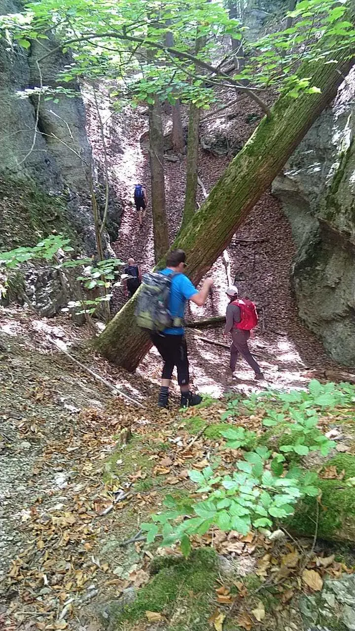 © Donald Kahnbach und Rüdiger Triller
