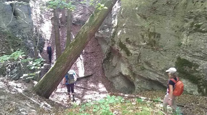 © Donald Kahnbach und Rüdiger Triller