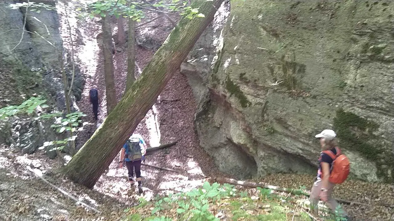 © Donald Kahnbach und Rüdiger Triller